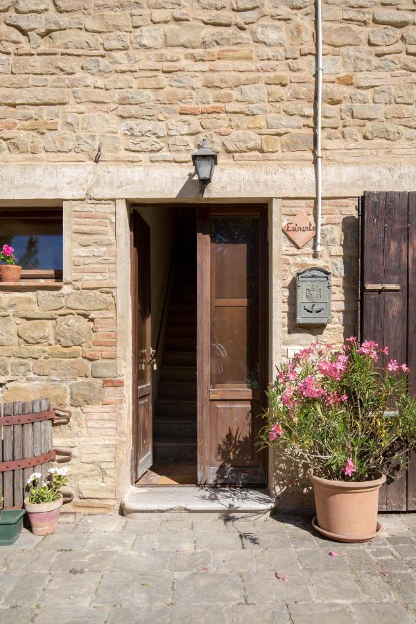 Agriturismo L'Esinante Cupramontana Extérieur photo