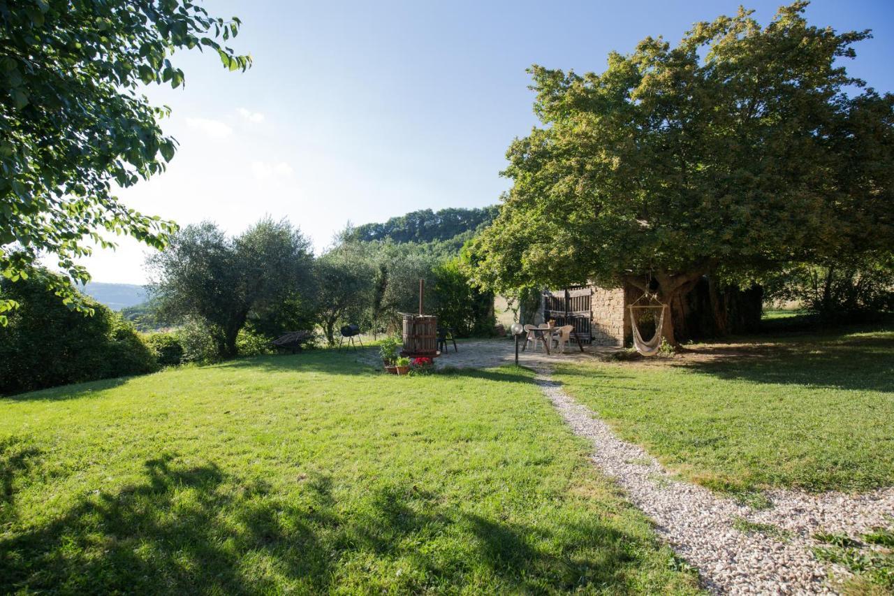 Agriturismo L'Esinante Cupramontana Extérieur photo